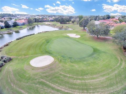 1077 W Skyview Landings Dr, Hernando, FL 34442 photo 37