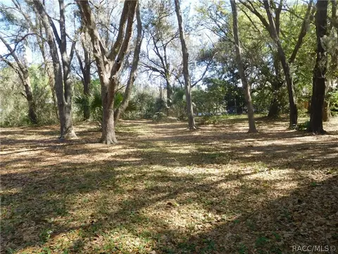 6340 N Sail Pt, Hernando, FL 34442 photo 19