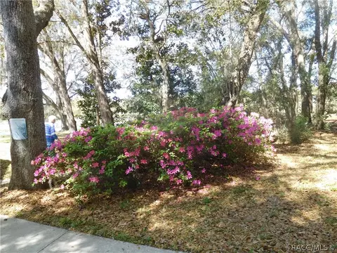 6340 N Sail Pt, Hernando, FL 34442 photo 18