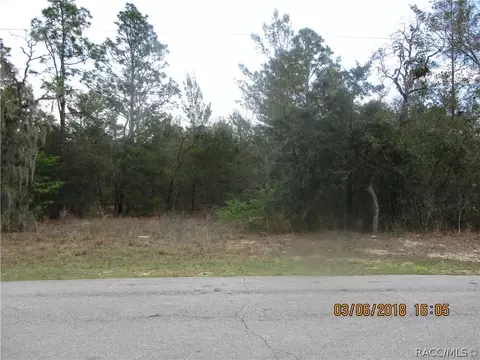 3113 N Hamlin Ter, Hernando, FL 34442 photo 1