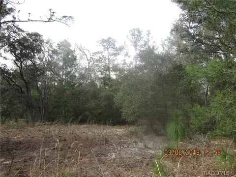 3113 N Hamlin Ter, Hernando, FL 34442 photo 10