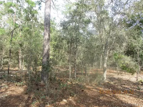 3113 N Hamlin Ter, Hernando, FL 34442 photo 7