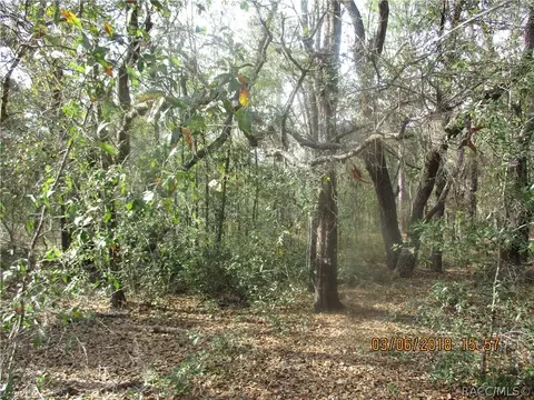 3113 N Hamlin Ter, Hernando, FL 34442 photo 9