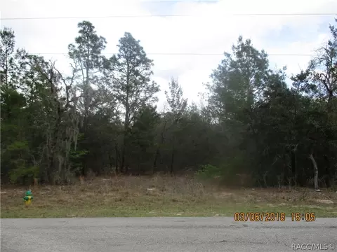 3113 N Hamlin Ter, Hernando, FL 34442 photo 6