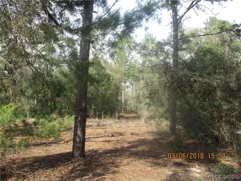 3113 N Hamlin Ter, Hernando, FL 34442 photo 8