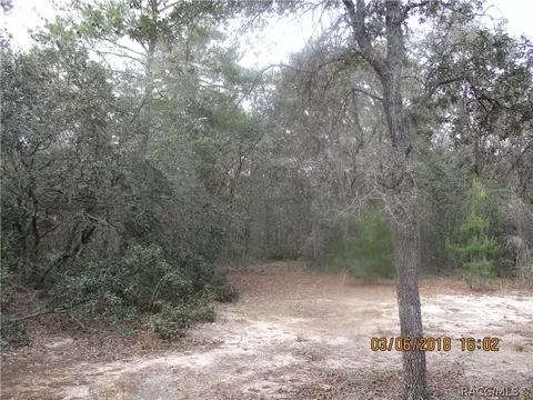 3113 N Hamlin Ter, Hernando, FL 34442 photo 12