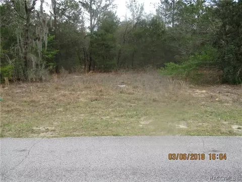3113 N Hamlin Ter, Hernando, FL 34442 photo 5
