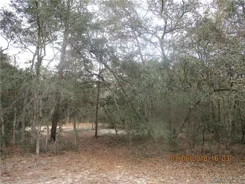 3113 N Hamlin Ter, Hernando, FL 34442 photo 2