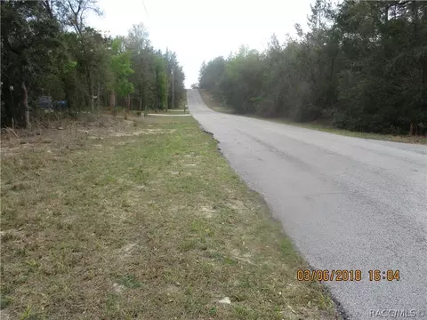 3113 N Hamlin Ter, Hernando, FL 34442 photo 4