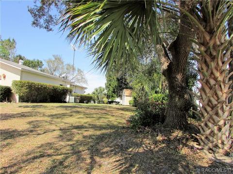 9221 Eldridge Rd, Spring Hill, FL 34608 photo 23