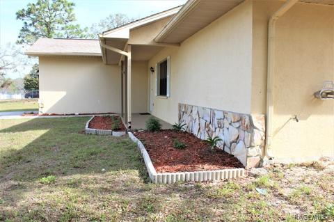 18042 Sand Pine Dr, Spring Hill, FL 34610 photo 3