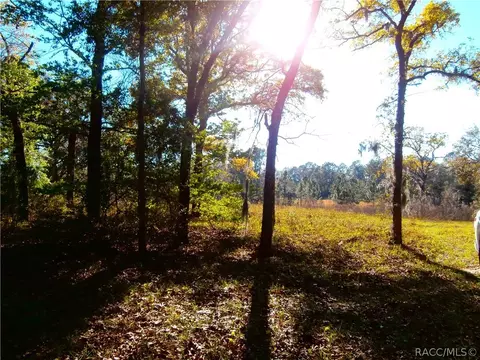 4520 E Posselt Dr, Hernando, FL 34442 photo 12