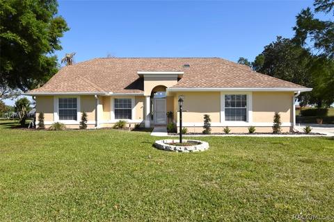 729 E Dakota Ct, Hernando, FL 34442 photo 41