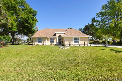 729 E Dakota Ct, Hernando, FL 34442 photo 50
