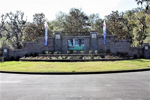 367 W Cobblestone Loop, Hernando, FL 34442 photo 1