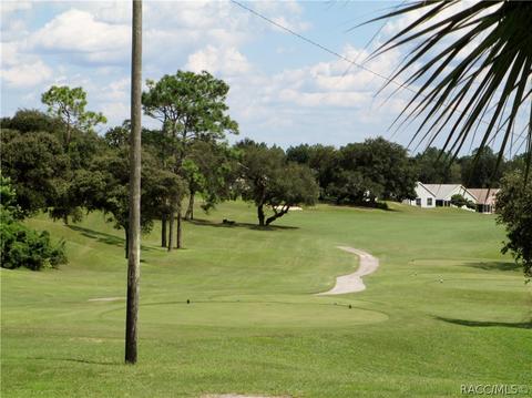 367 W Cobblestone Loop, Hernando, FL 34442 photo 16