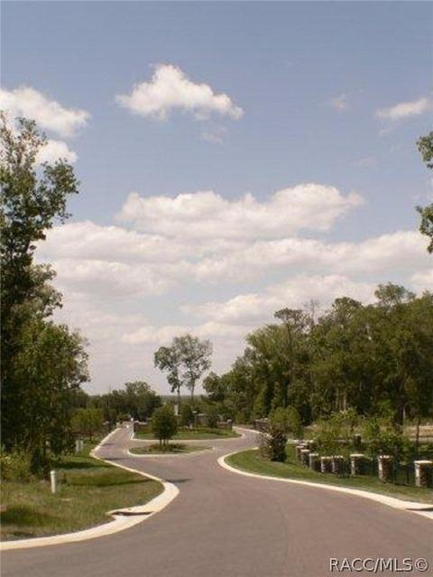 367 W Cobblestone Loop, Hernando, FL 34442 photo 3