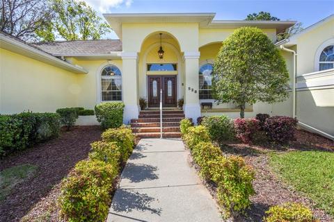 528 E Keller Ct, Hernando, FL 34442 photo 41