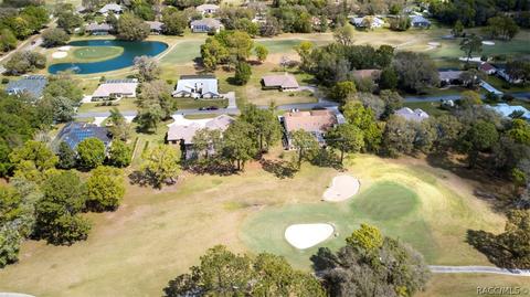 528 E Keller Ct, Hernando, FL 34442 photo 43