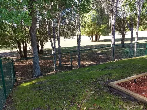 3710 E Hidden Cove Trl, Hernando, FL 34442 photo 31