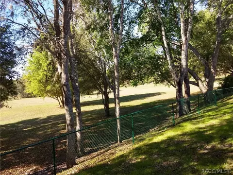 3710 E Hidden Cove Trl, Hernando, FL 34442 photo 30