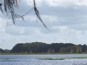 3710 E Hidden Cove Trl, Hernando, FL 34442 photo 37