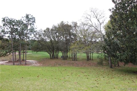 4200 N Pine Valley Loop, Lecanto, FL 34461 photo 29