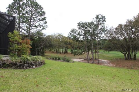 4200 N Pine Valley Loop, Lecanto, FL 34461 photo 28