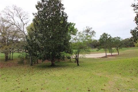 4200 N Pine Valley Loop, Lecanto, FL 34461 photo 30
