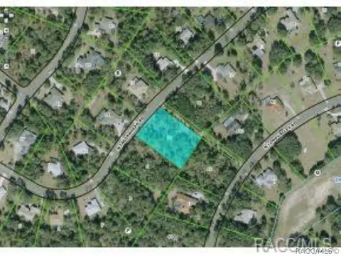 4370 N Indianhead Rd, Hernando, FL 34442 photo 1