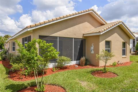 850 W Skyview Crossing Dr, Hernando, FL 34442 photo 6