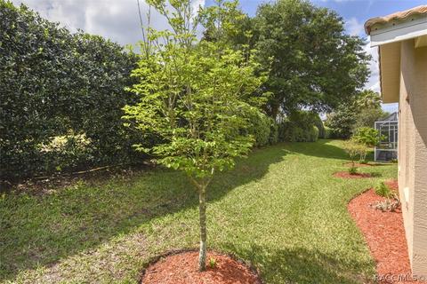 850 W Skyview Crossing Dr, Hernando, FL 34442 photo 4