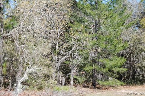 1651 E Bismark St, Hernando, FL 34442 photo 2