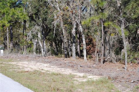 1651 E Bismark St, Hernando, FL 34442 photo 4