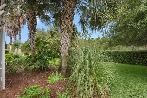 2081 W Abigail Path, Lecanto, FL 34461 photo 38