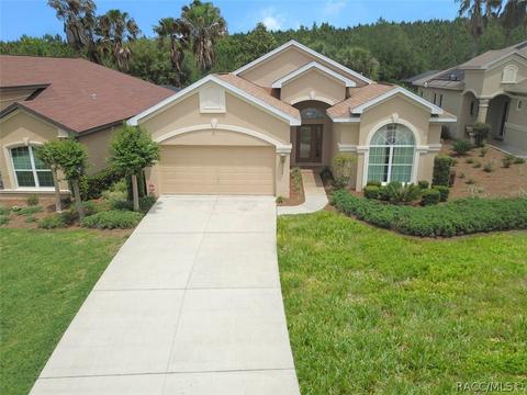2081 W Abigail Path, Lecanto, FL 34461 photo 44