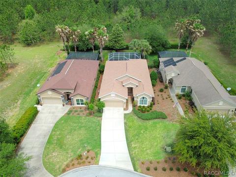 2081 W Abigail Path, Lecanto, FL 34461 photo 46