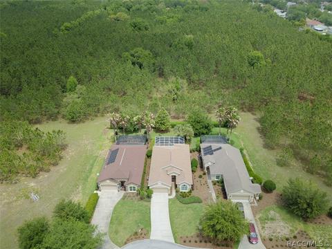 2081 W Abigail Path, Lecanto, FL 34461 photo 47