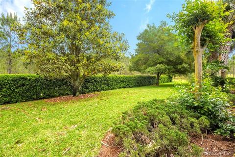 2081 W Abigail Path, Lecanto, FL 34461 photo 37
