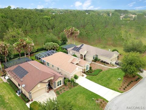 2081 W Abigail Path, Lecanto, FL 34461 photo 48
