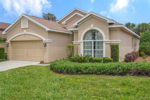 2081 W Abigail Path, Lecanto, FL 34461 photo 40