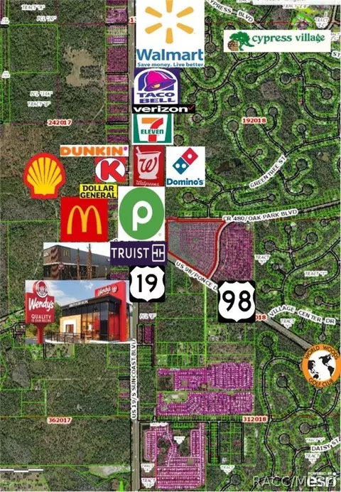 6945 W Ponce De Leon Blvd, Homosassa, FL 34446