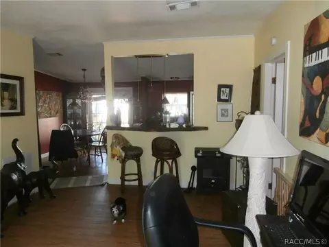 6429 N Cherrytree Ter, Hernando, FL 34442 photo 5