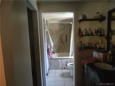 6429 N Cherrytree Ter, Hernando, FL 34442 photo 4