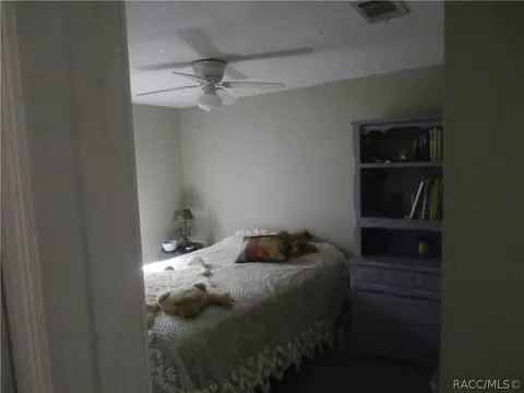 6429 N Cherrytree Ter, Hernando, FL 34442 photo 11