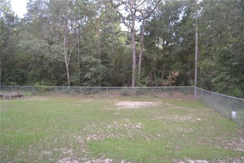 1172 W Legion Ct, Hernando, FL 34442 photo 30