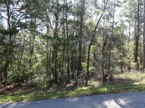 3001 N Hamlin Ter, Hernando, FL 34442 photo 3