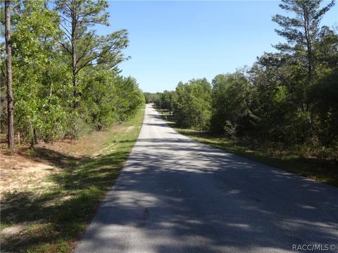 3001 N Hamlin Ter, Hernando, FL 34442 photo 6