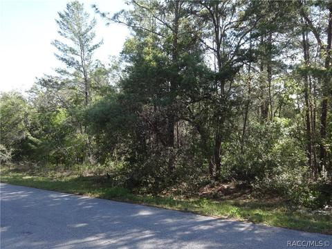 3001 N Hamlin Ter, Hernando, FL 34442 photo 1