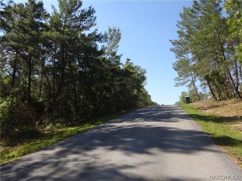 3001 N Hamlin Ter, Hernando, FL 34442 photo 5